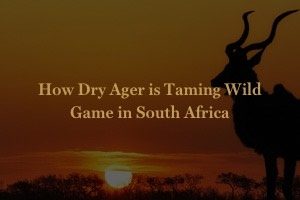 Aging Gracefully: How DRY AGER is Taming Wild Game in South Africa
